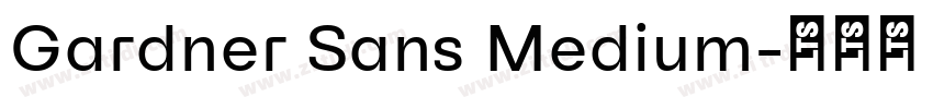 Gardner Sans Medium字体转换